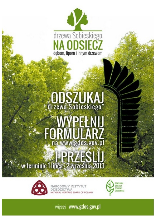 drzewa-sobieskiego-15072013